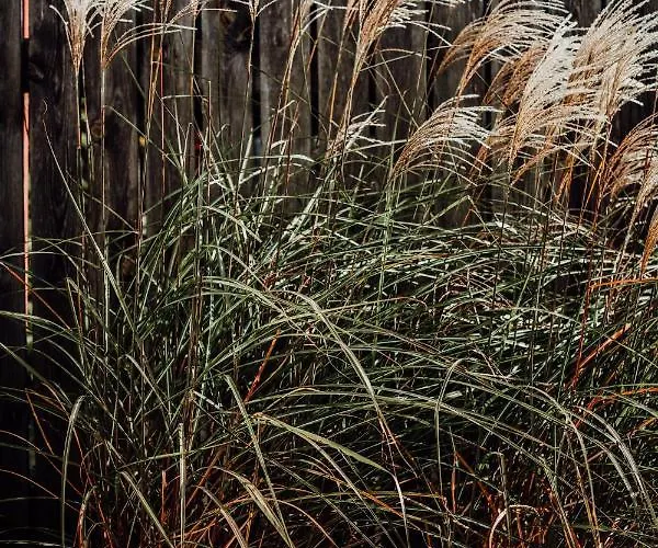 Hot_Elarnia Hotel & Spa 4*